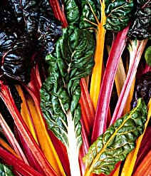 Bright lights Swiss chard.