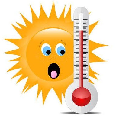 Hey Garden Peeps... take heed in the heat. Here are watering tips from the University of MN Ext. Link in the comments. 

#heatwave #gardeninginaheatwave #wateringinaheatwave