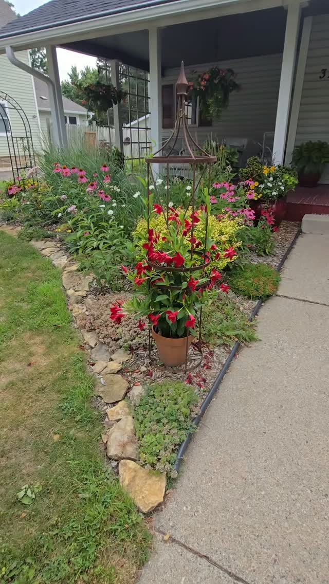 Changed out some spent annuals! 

#gardening #annualplant #gardenbitewithteriknight