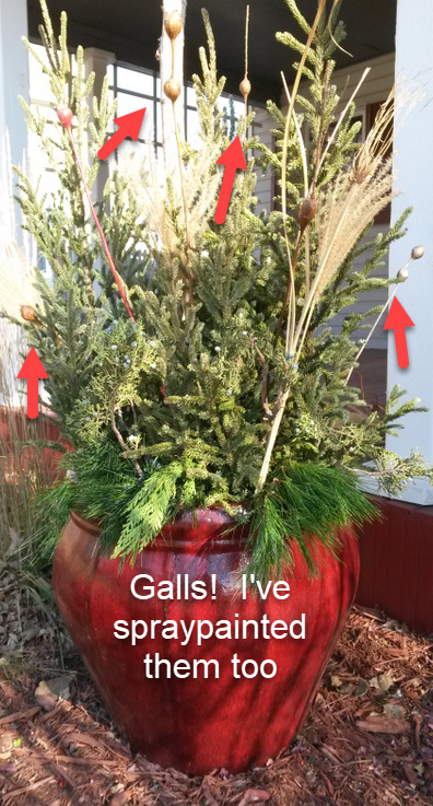 The gall of some trees! – Garden Bite