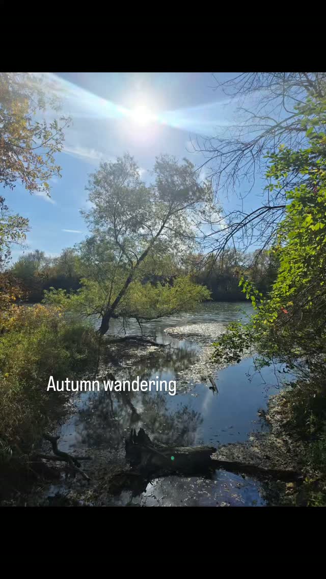 Likely the last warm sunny day. Ahhh, till I wander again.

#nature #naturewalk #gardenbite #naturalbeauty
